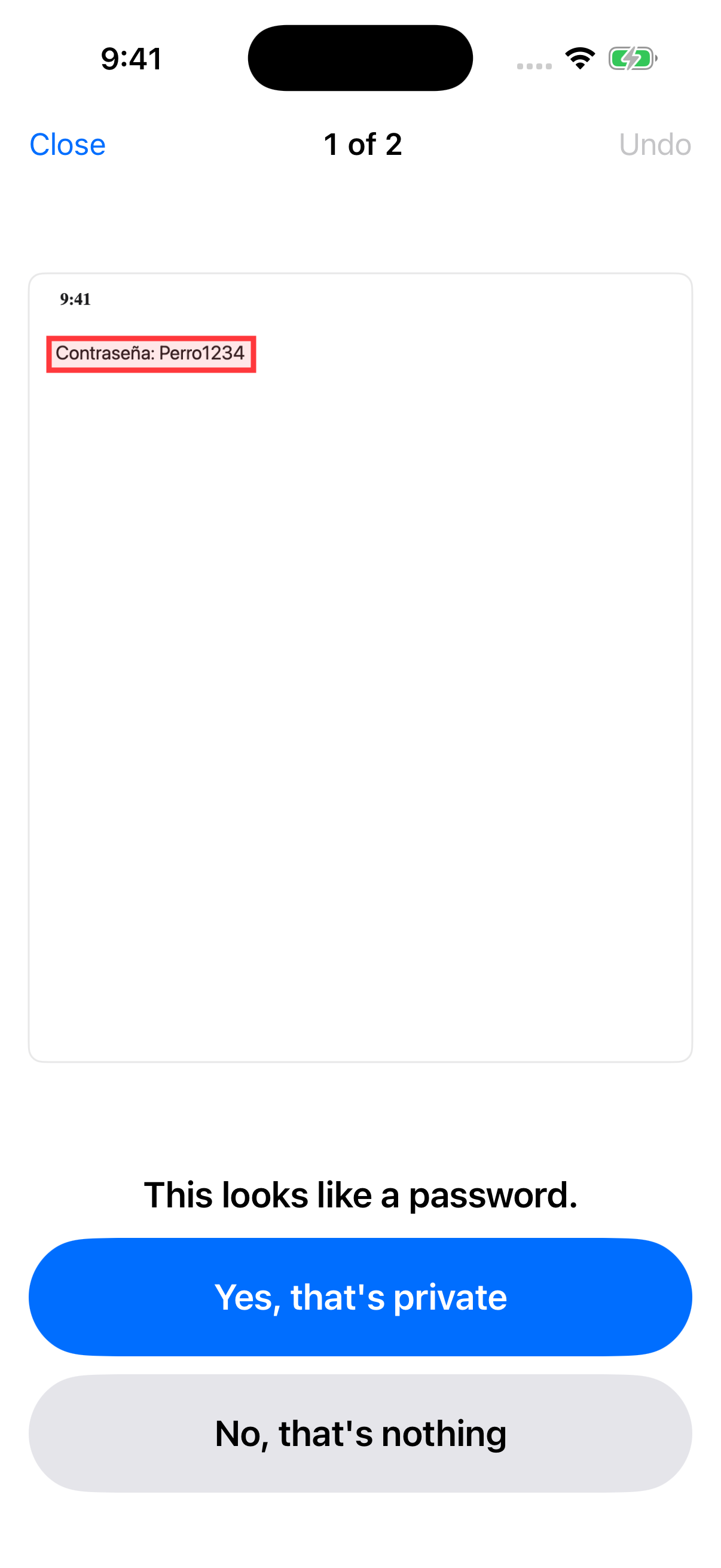 Fidera on iPhone showing one screenshot with a password boxed in red, the line This looks like a password, and two buttons: Yes, that's private and No, that's nothing